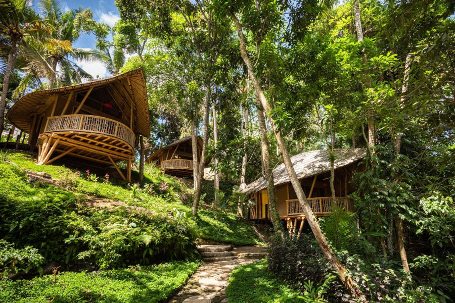 3 Bijzondere Overnachtingen in Ubud